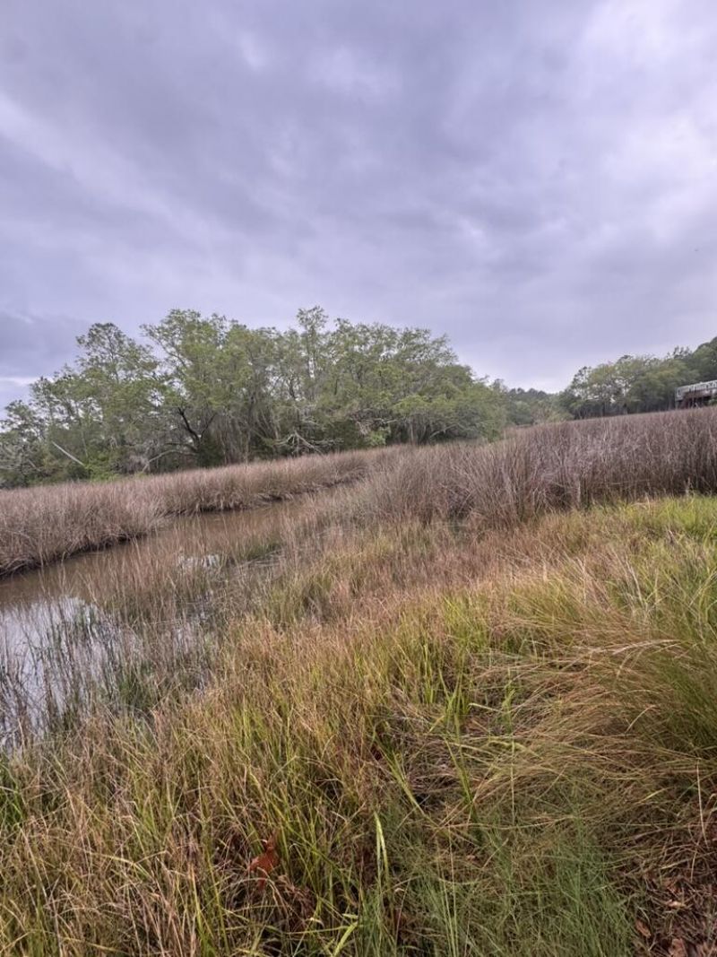 15014 Bennetts Point Road Photo 28