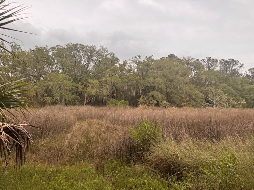 15014 Bennetts Point Road Photo 31