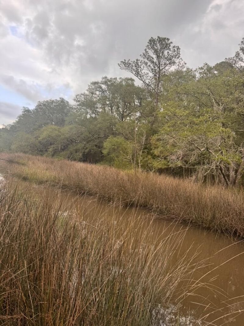 15014 Bennetts Point Road Photo 33