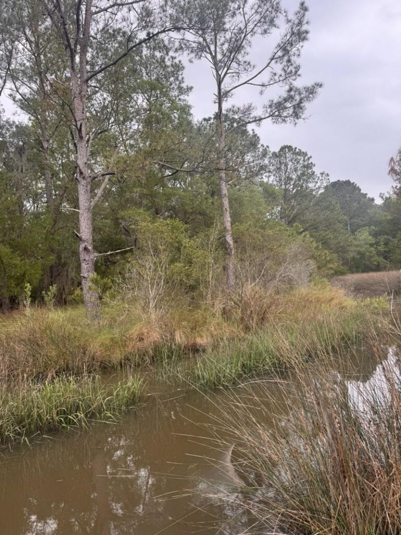 15014 Bennetts Point Road Photo 34