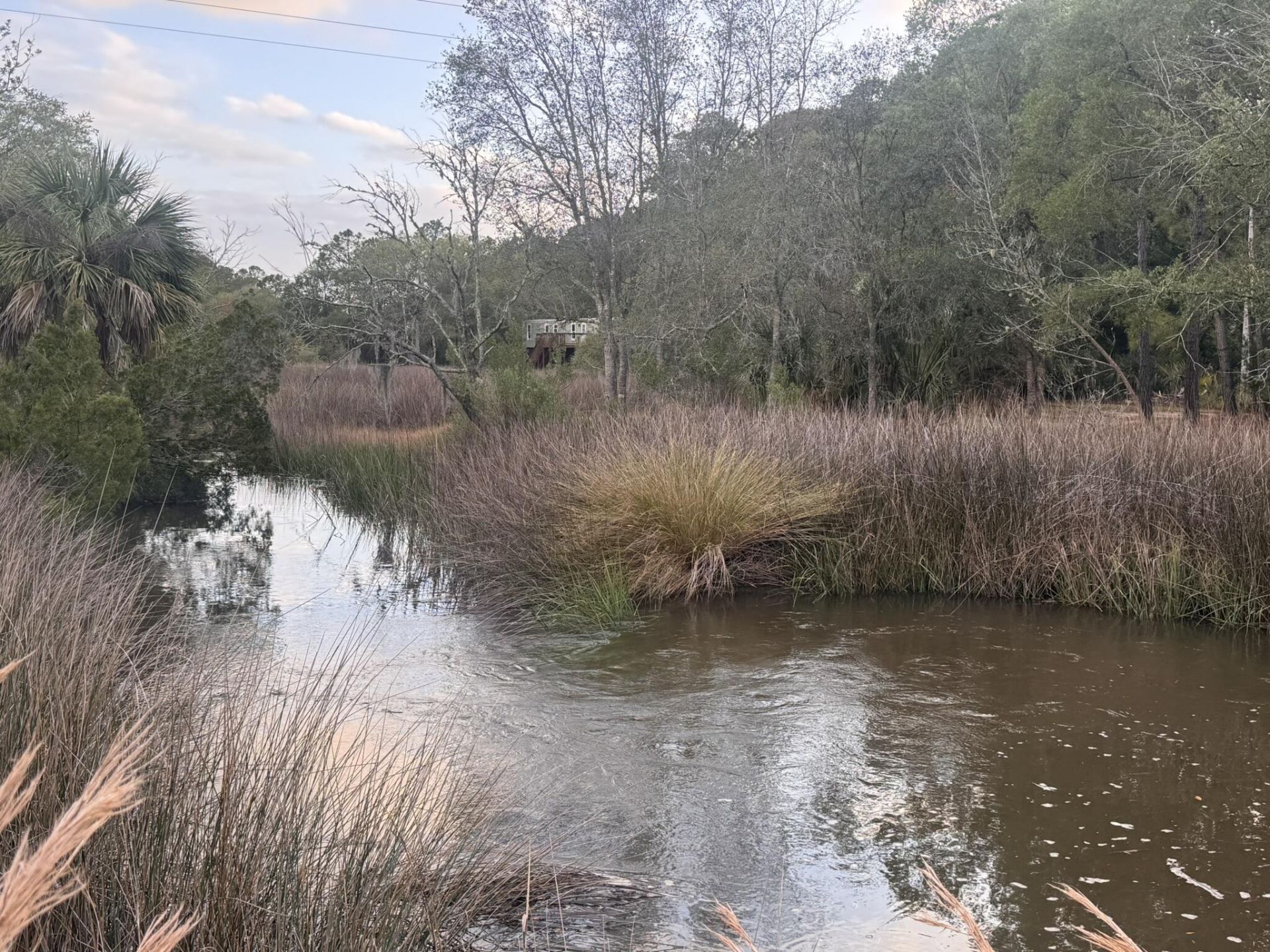 15014 Bennetts Point Road Photo 45