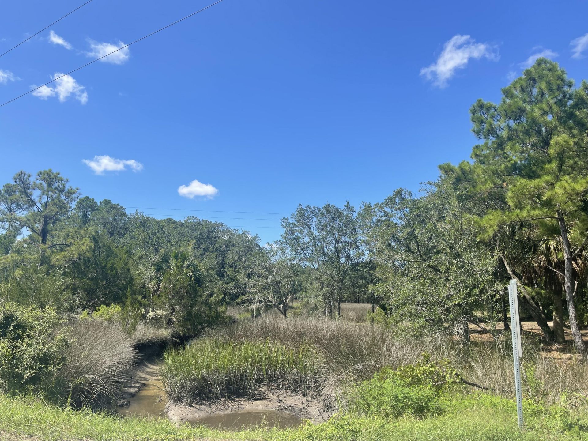 15014 Bennetts Point Road Photo 5