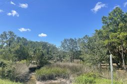 15014 Bennetts Point Road photo 4