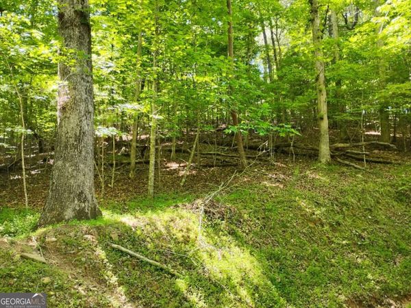 0 Gladstone Court, Unit 967, 968, Ellijay, GA 30540