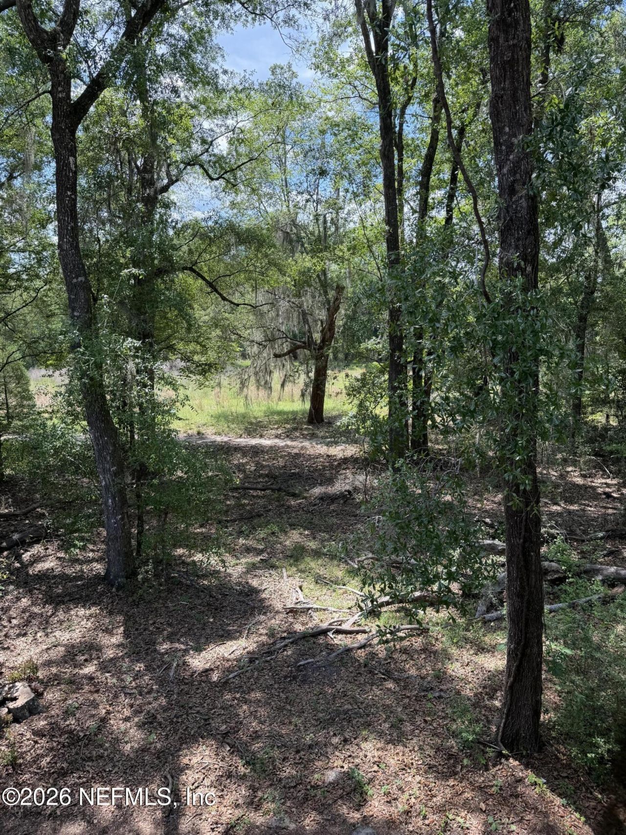 2960 Ravines Road, Unit 1325, Middleburg, FL 32068 Photo