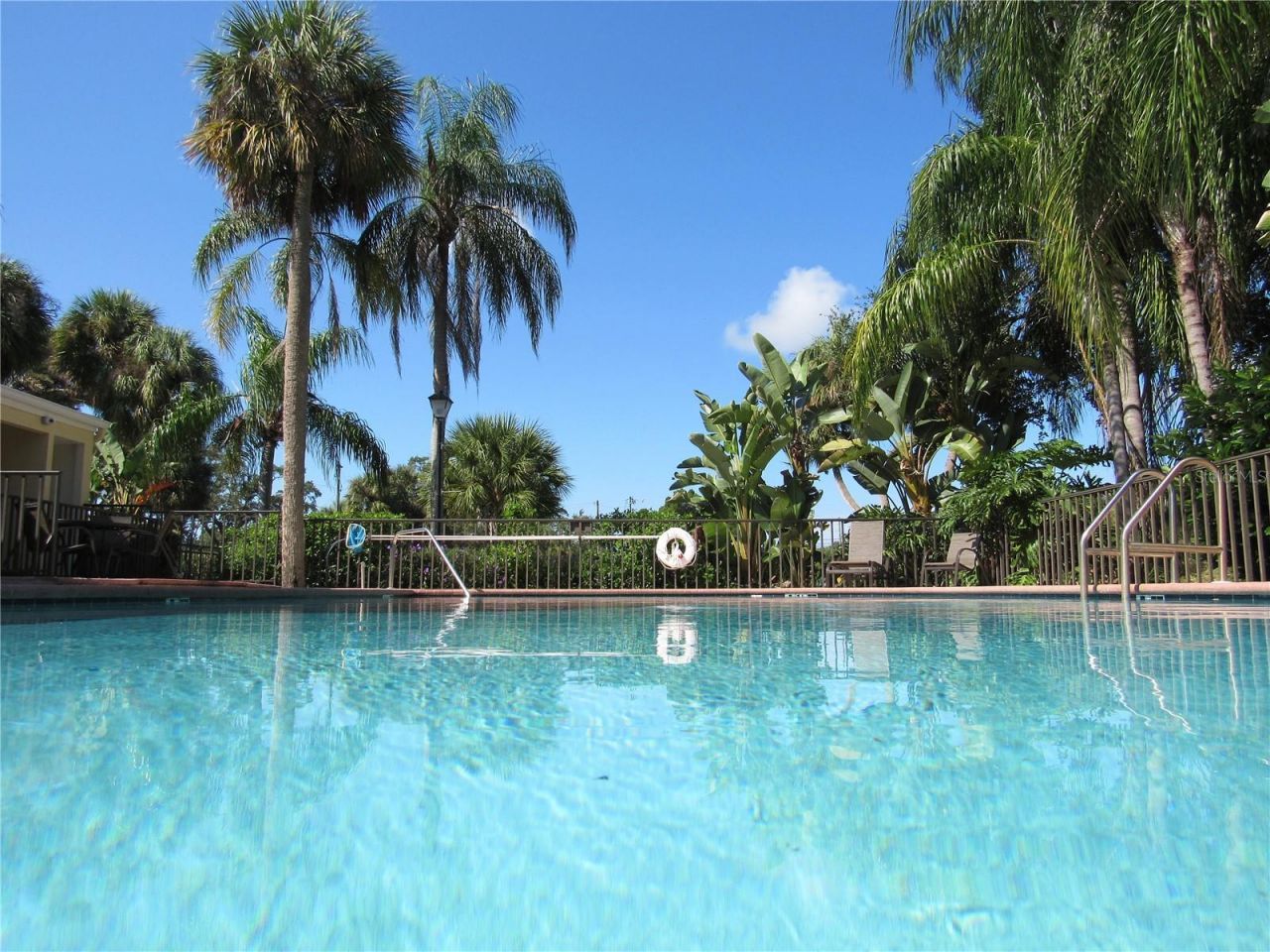 3001 58th Ave S Avenue S, Unit 805, Saint Petersburg, FL 33712 Photo
