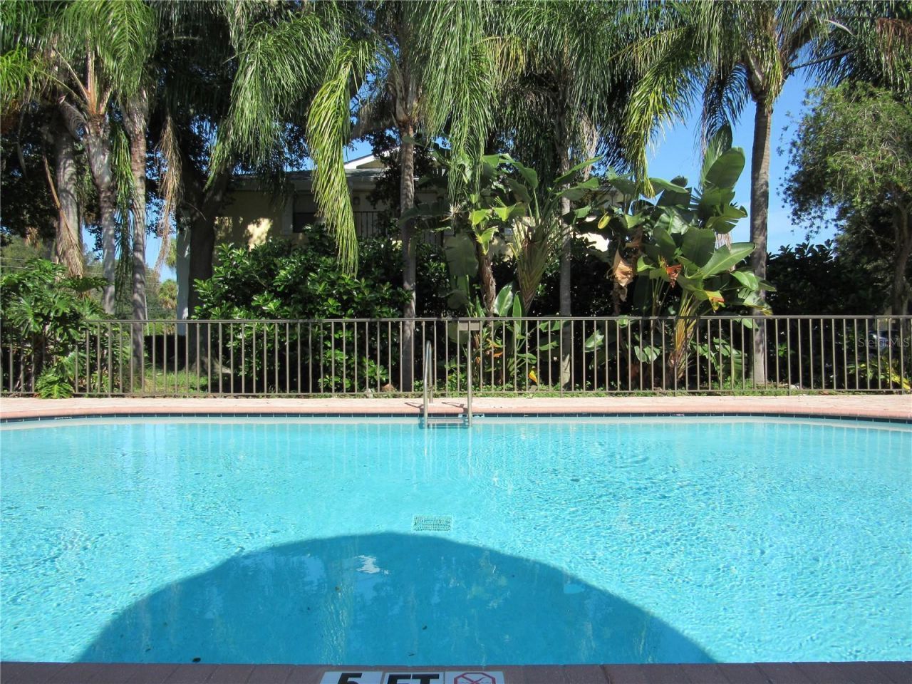 3001 58th Ave S Avenue S, Unit 805, Saint Petersburg, FL 33712 Photo