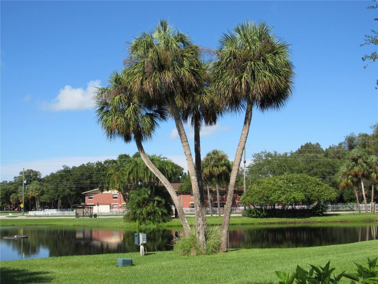 3001 58th Ave S Avenue S, Unit 805, Saint Petersburg, FL 33712 Photo