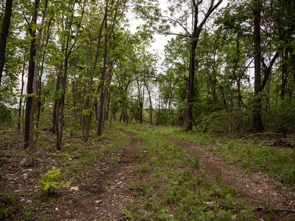 000 State Highway Y , Myrtle, MO 65778