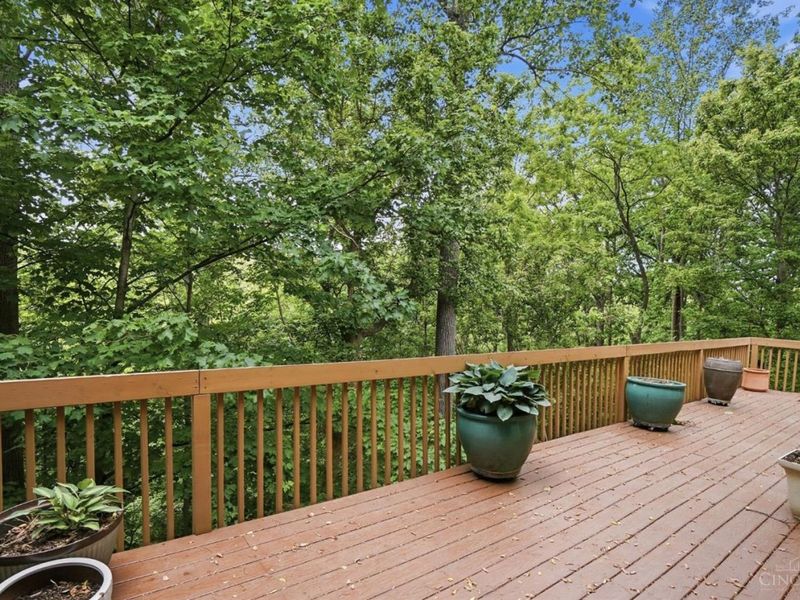 11768 Gable Glen Lane, Cincinnati, OH 45249 Photo 54