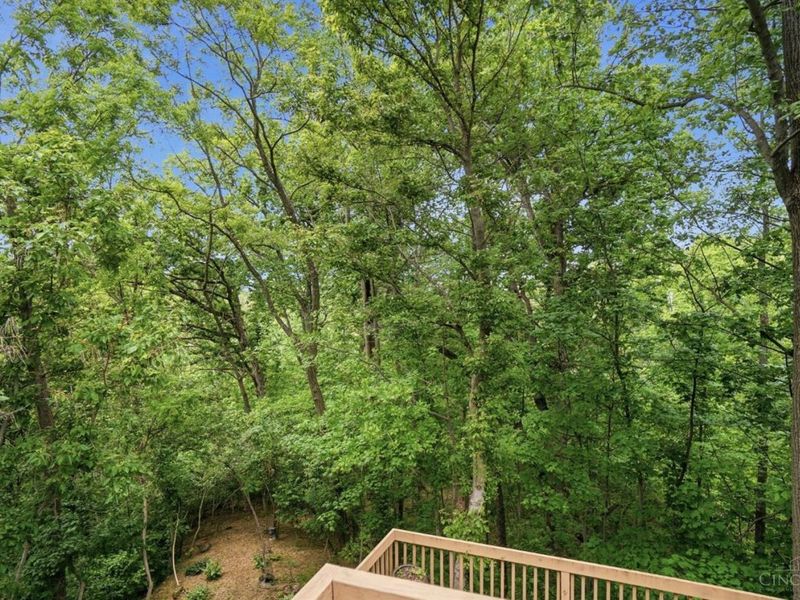 11768 Gable Glen Lane, Cincinnati, OH 45249 Photo 55