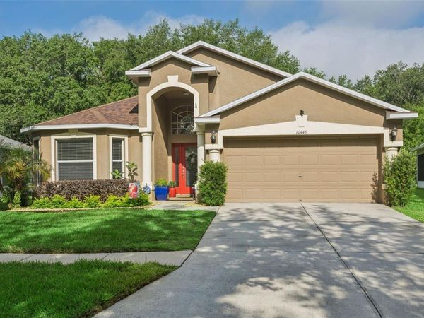 10446 LUCAYA DRIVE , TAMPA, FL 33647