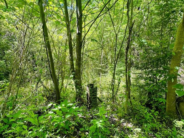 Stoney Fork Rd, Caryville, TN 37714