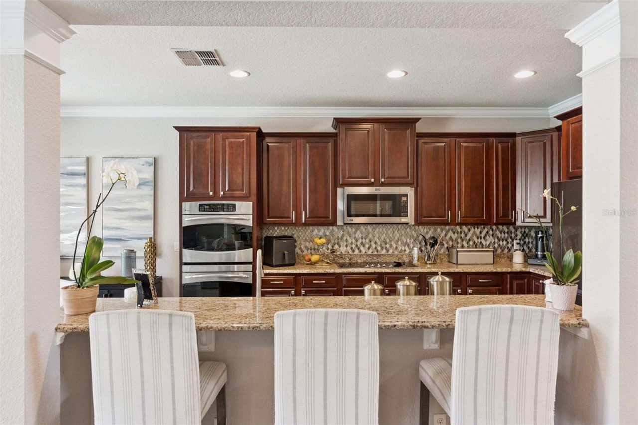 487 Douglas Edward Drive, Ocoee, FL 34761 Photo