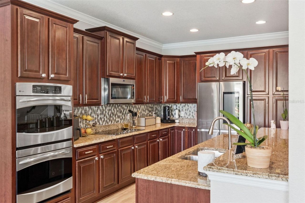 487 Douglas Edward Drive, Ocoee, FL 34761 Photo