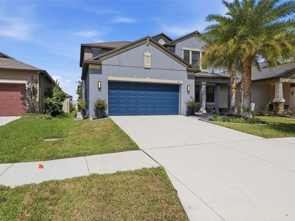 13917 ROSEATE TERN LANE , RIVERVIEW, FL 33579