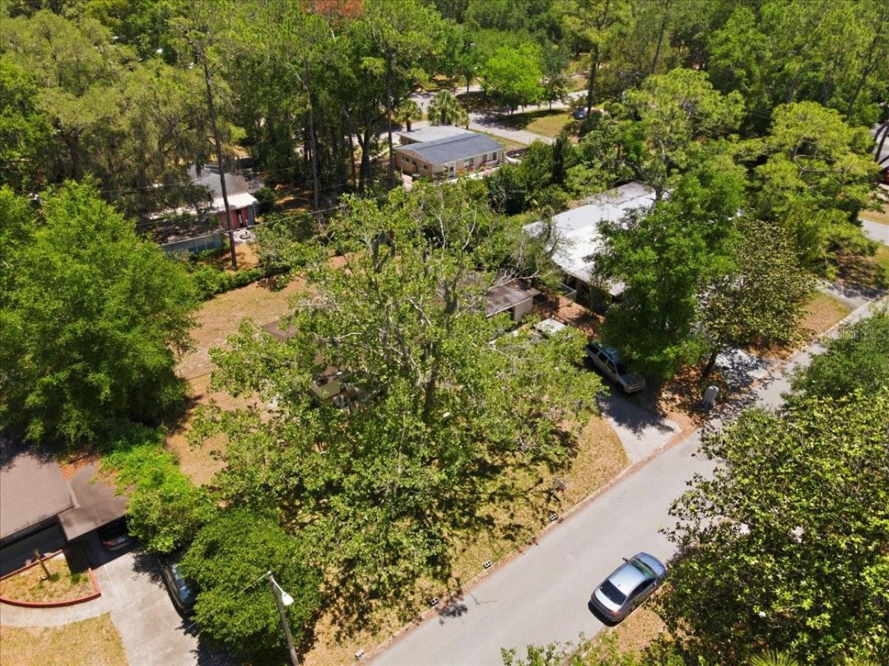 517 NW 36th Terrace, Gainesville, FL 32607 Photo