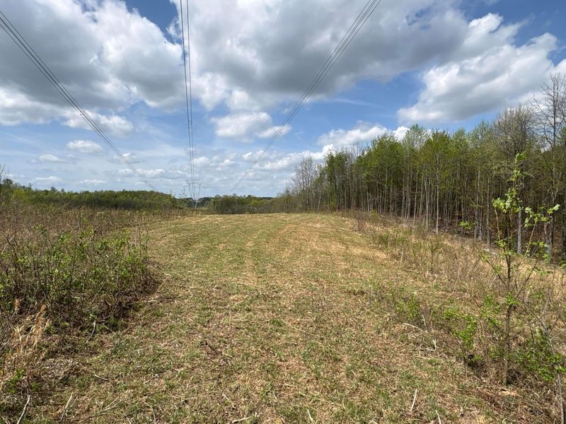 0 Pyle Road, Lucasville, OH 45648 Photo 11