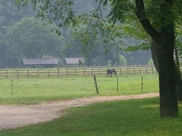 000 Wild Turkey Road , Ferguson, NC 28624