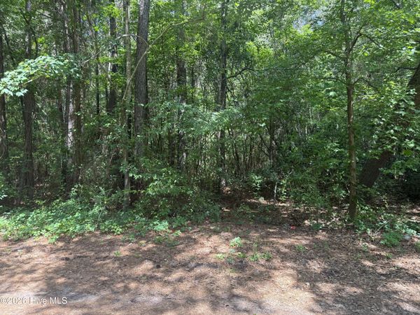 0 Herring Loop Road , Wallace, NC 28466