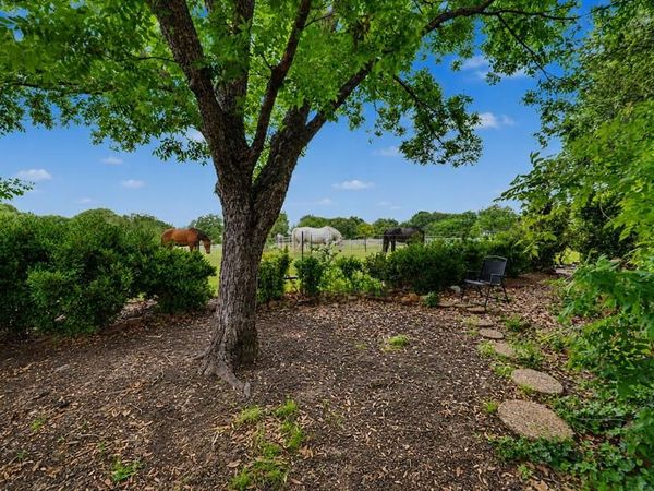1905 Lakeway Drive, Rowlett, TX 75088
