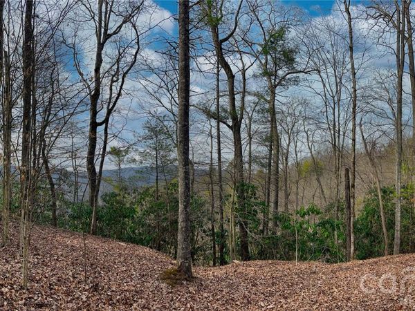 Lot 127 Bear River Lodge Trail , Marshall, NC 28753