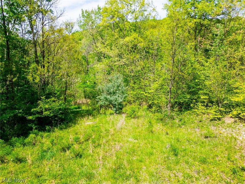 6100 Rockville Road, Blue Rock, OH 43720 Photo 12