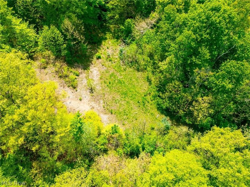 6100 Rockville Road, Blue Rock, OH 43720 Photo 16