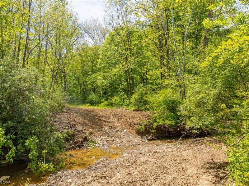 6100 Rockville Road, Blue Rock, OH 43720 Photo 24