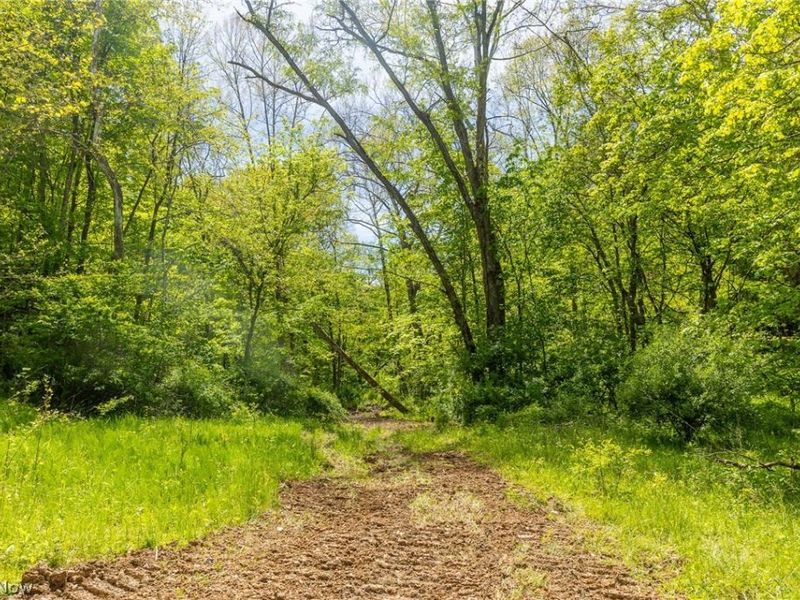6100 Rockville Road, Blue Rock, OH 43720 Photo 3