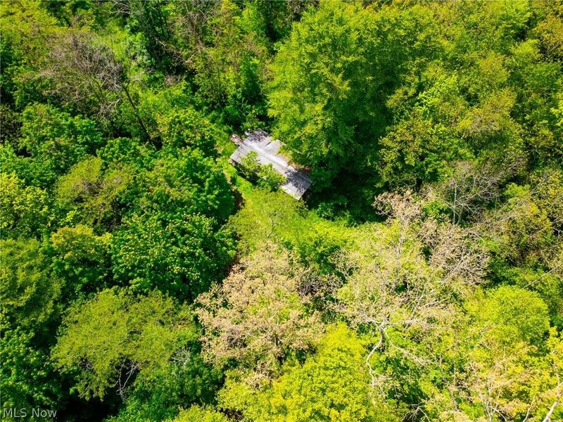 6100 Rockville Road, Blue Rock, OH 43720 Photo 9