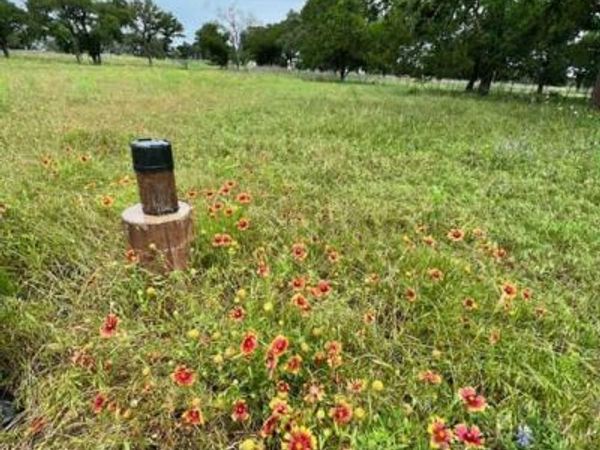 317 Yellowstone Drive , Oglesby, TX 76561