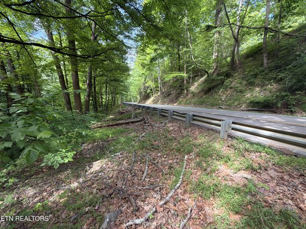 Wears Valley Rd Rd, Townsend, TN 37882