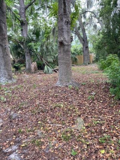 6442 Treehaven Drive , Spring Hill, FL 34606 Photo