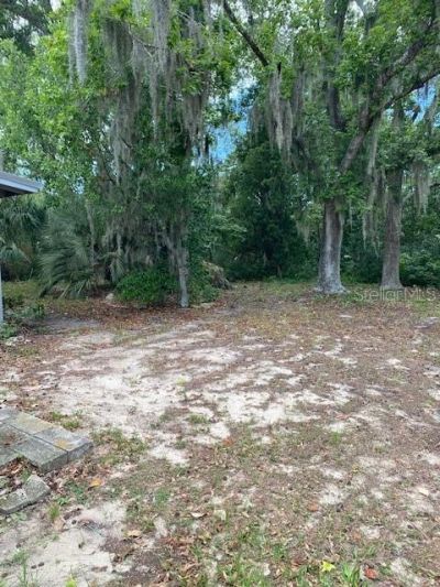 6442 Treehaven Drive , Spring Hill, FL 34606 Photo