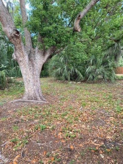 6442 Treehaven Drive , Spring Hill, FL 34606 Photo
