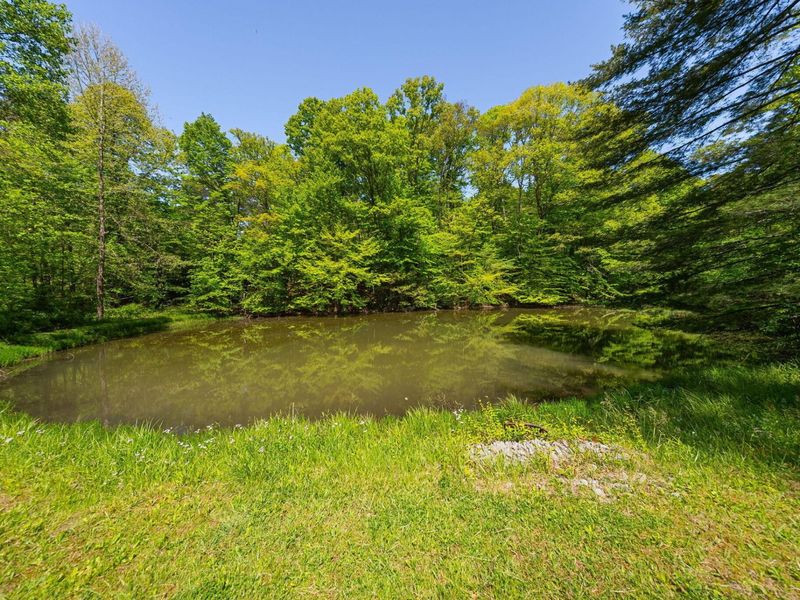 10375 Frasure Helber Road, Logan, OH 43138 Photo 127
