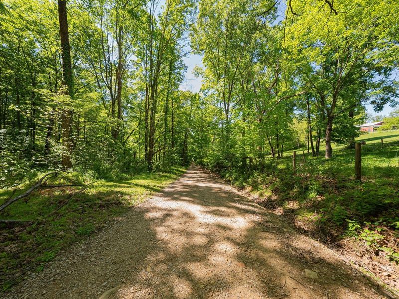 10375 Frasure Helber Road, Logan, OH 43138 Photo 68