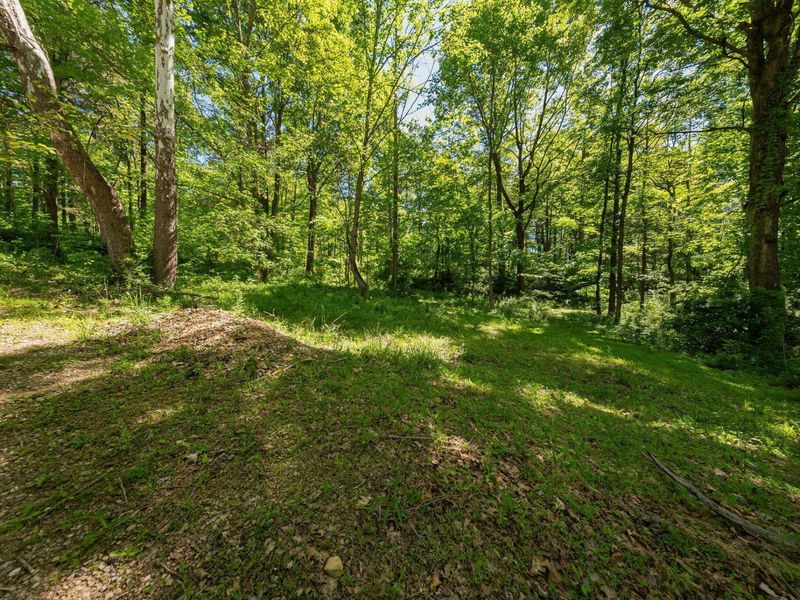 10375 Frasure Helber Road, Logan, OH 43138 Photo 69
