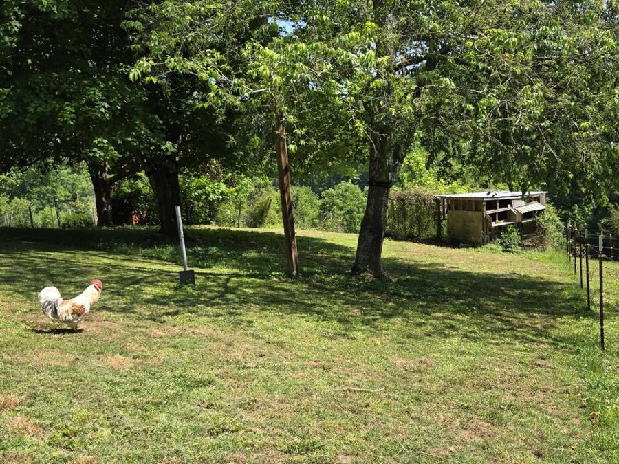 Property Image 37