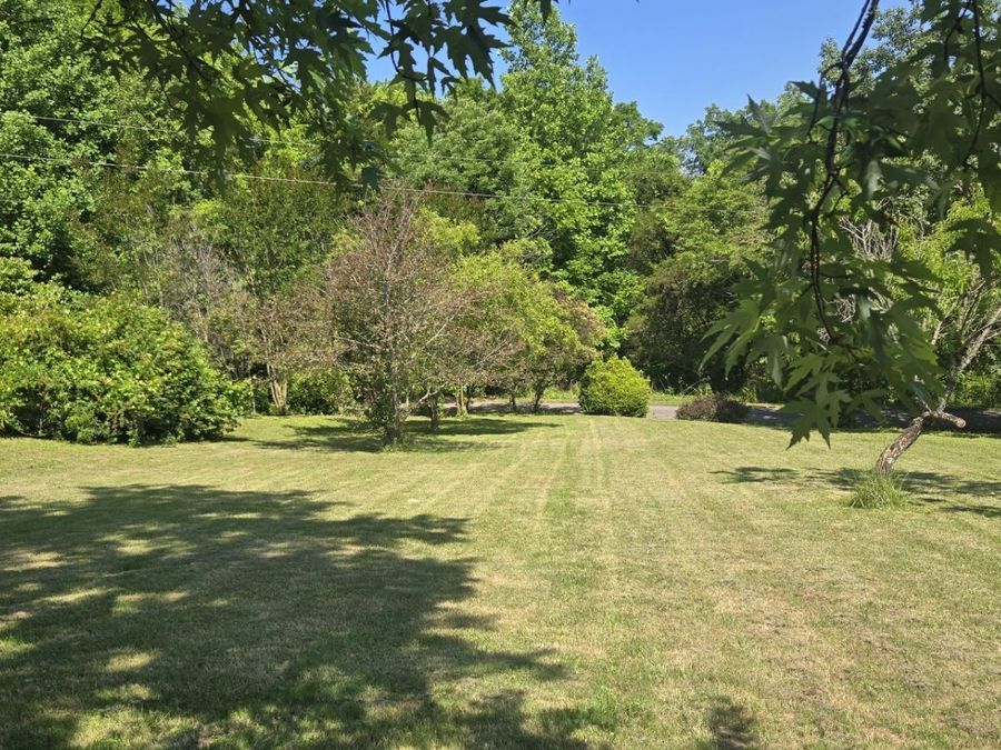 Property Image 49