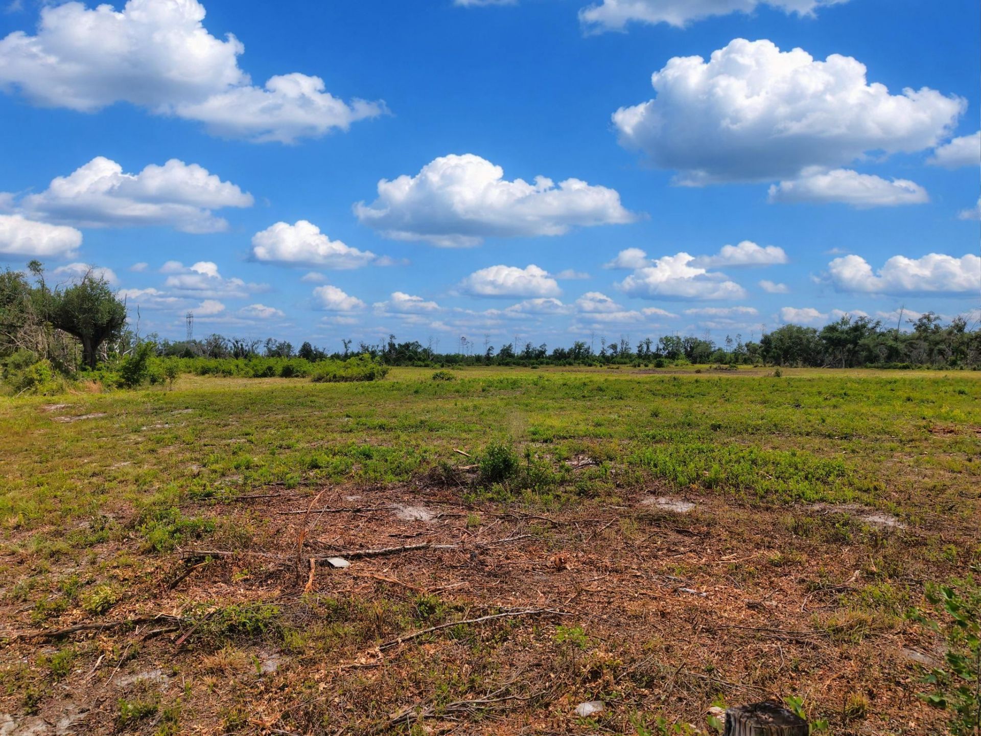 Tbd S Cr 53, Lee, FL 32059 Photo