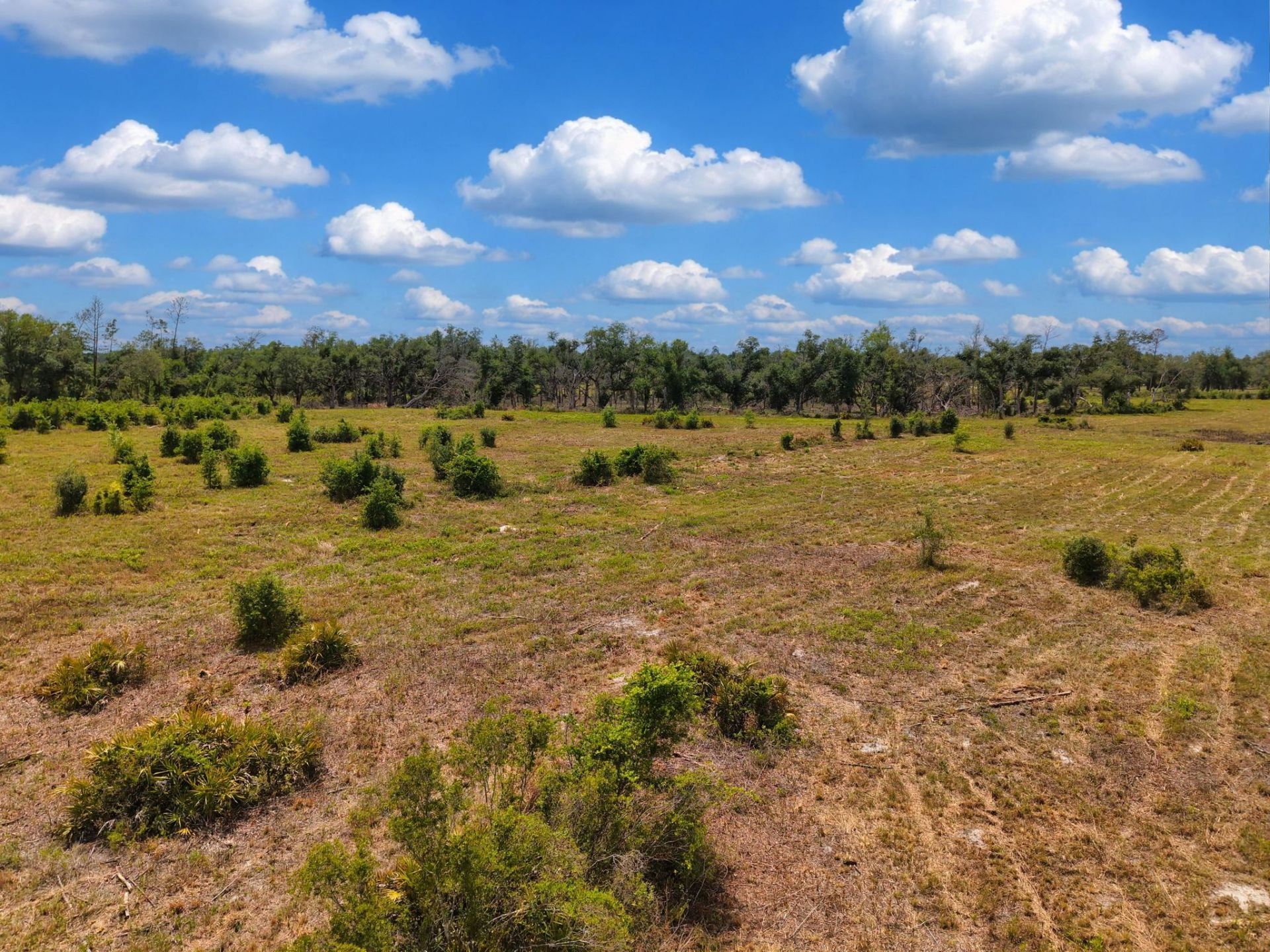 Tbd S Cr 53, Lee, FL 32059 Photo