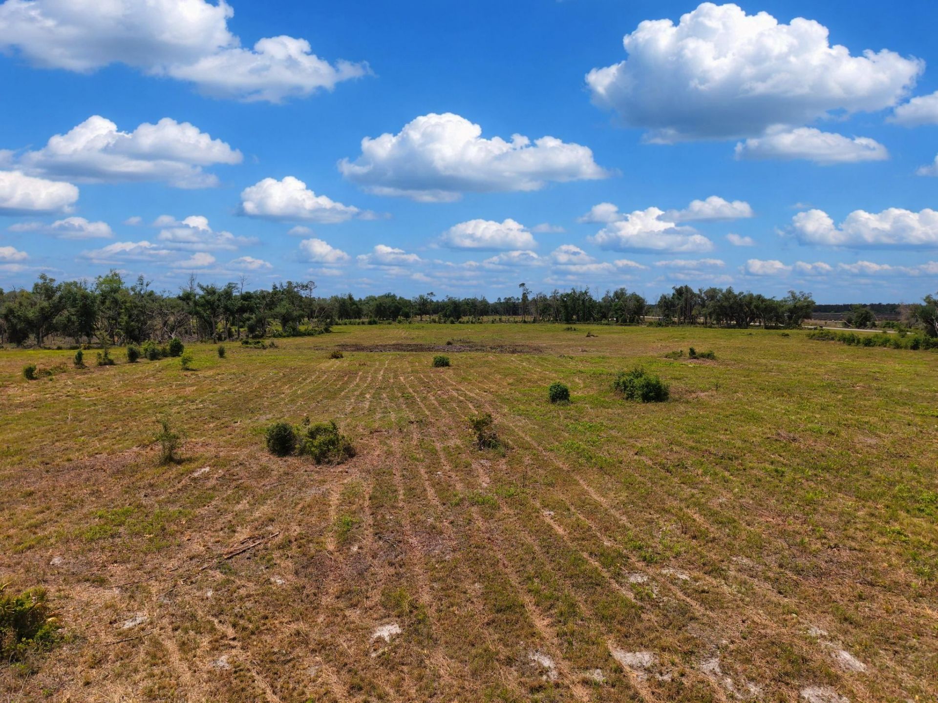 Tbd S Cr 53 , Lee, FL 32059 Photo