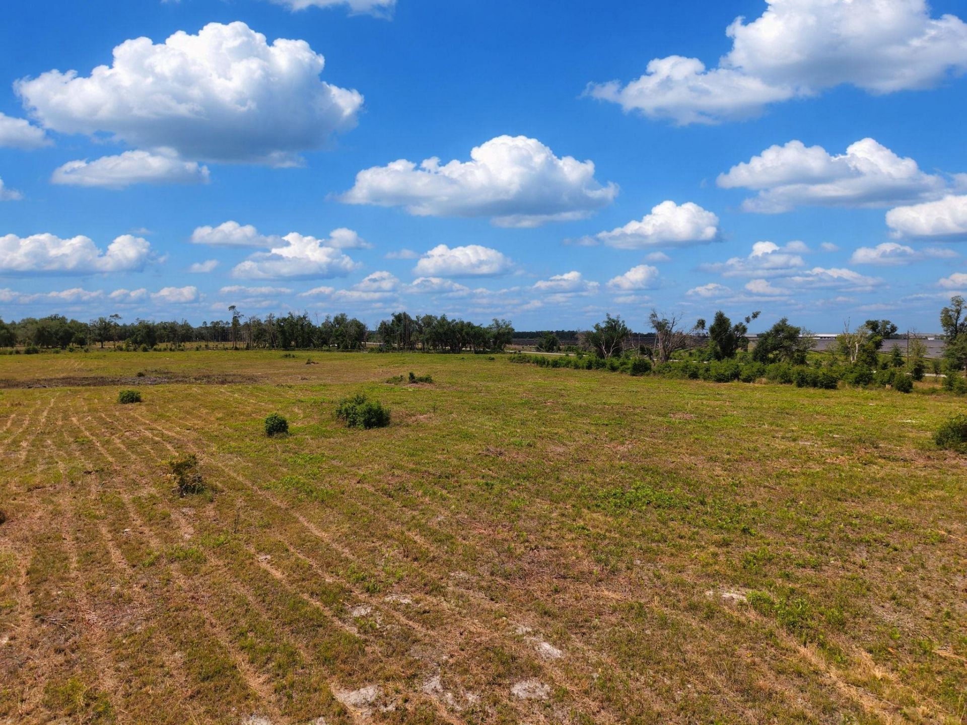 Tbd S Cr 53 , Lee, FL 32059 Photo