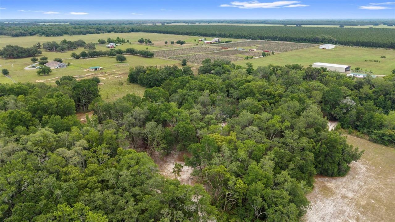 18330 Booming Road, Spring Hill, FL 34610 Photo