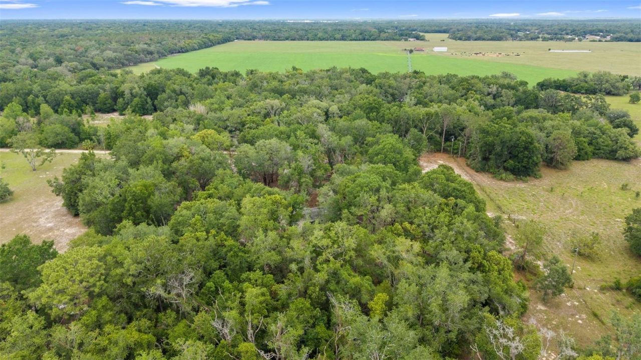 18330 Booming Road, Spring Hill, FL 34610 Photo