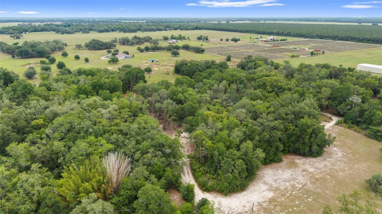 18330 Booming Road, Spring Hill, FL 34610 Photo