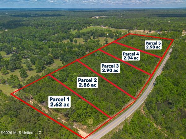 Parcel 5 M P Parker Road , McHenry, MS 39561