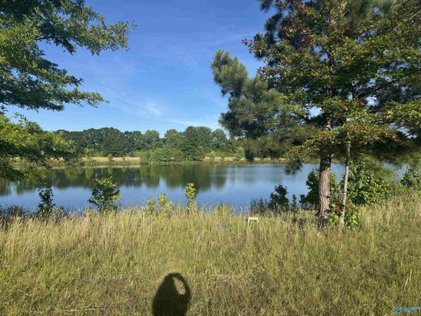 645 County Road 487, Moulton, AL 35650